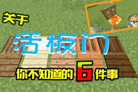 我的世界：活板门你不知道的6件事：没有活板门不能挡的东西！