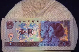 801红金龙图片