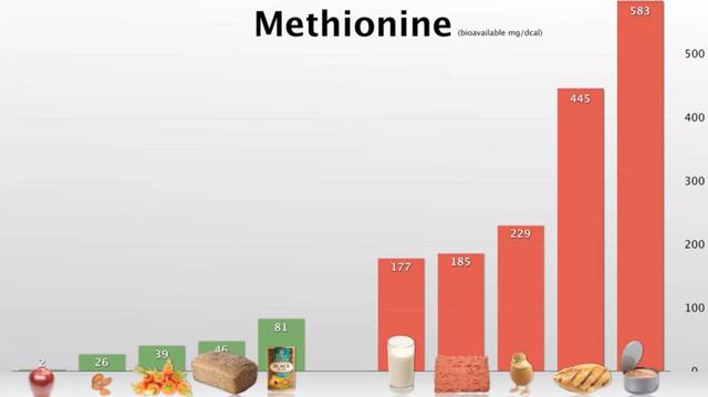 癌细胞最喜欢这种氨基酸