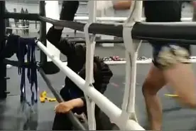 踢馆再上热搜，青城派接受踢馆否？刘绥滨回应：我们不怕任何挑战图片
