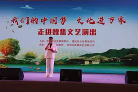 "我们的中国梦——文化进万家"文艺演出走进魏集古镇图片