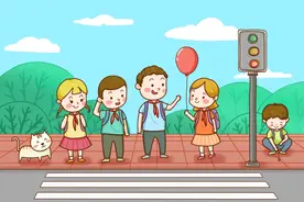 小小少年引领新时尚！浦东校园“垃圾分类”蔚然成风图片