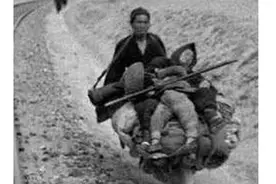 发生在河南的五件大事图片