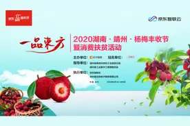 6月7日带你寻找最大、最好吃的杨梅，2020怀化靖州杨梅节来了图片