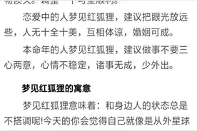 做梦梦到红狐狸有什么寓意？图片