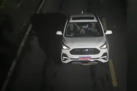 平利公安：打掉盗销“一条龙”犯罪团伙1个，抓获犯罪嫌疑人6名图片