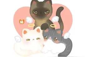 家中3只猫核酸阳性被安乐死！新冠确诊主人：它们都是我的命啊图片
