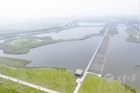 东方绿洲——鱼儿“家园”图片