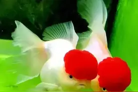 假如你是领导，如何处理单位男女不正当的关系图片