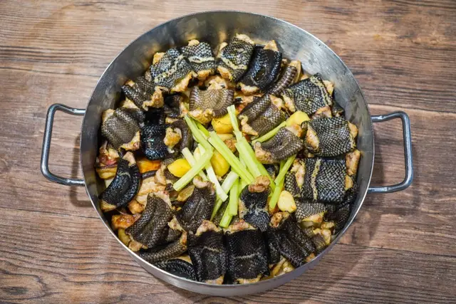 鳄鱼肉炆花胶 2026年鳄鱼胶的吃法