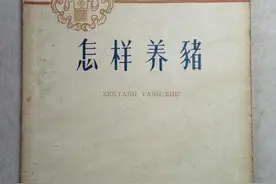 在农场养猪是怎么样的体验？图片