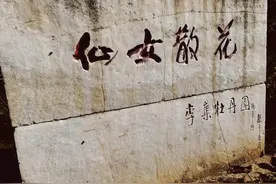 菏泽有个“牡丹仙子”，时隔20年重现曹州牡丹园！图片