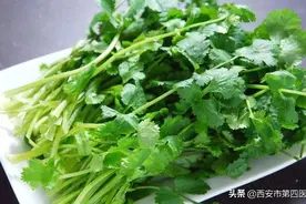 #健康科普汇#【告诉你香菜5大功效】图片