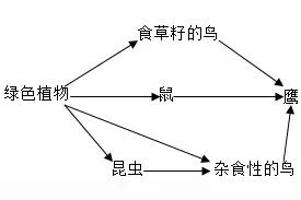 临沂市河东区2019~2020学年度上学期七年级生物期中试题图片