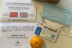中医药海外订单猛增，涨价6倍仍供不应求！“100块钱一盒的连花清瘟瞬间被抢光了！”中药走红海外还有多远？图片