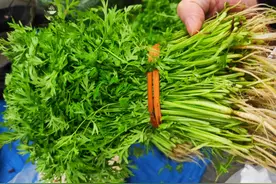 不起眼的萝卜秧，这样炒一炒，营养美味，比普通蔬菜还好吃图片