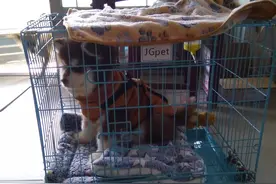 我来过这世界图片