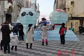 齐齐哈尔关注：中央大街冰灯里有条鲫瓜子图片