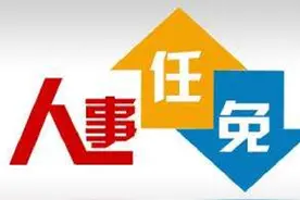 石家庄等4市最新任免！区长、局长、副县长…图片