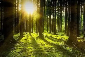 模仿高手的技能走捷径，你能更快赚到钱图片