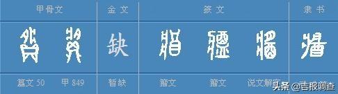 “说文解字”巧说“年”——年夜饭背后的“味道”好丰富……