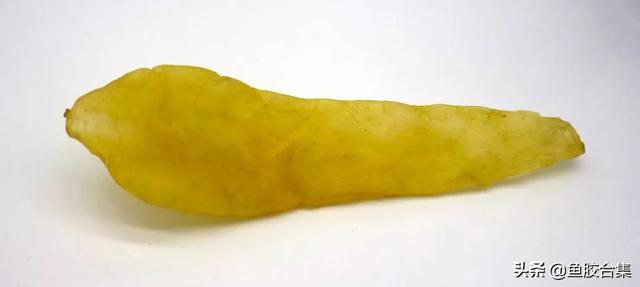 白花胶是什么鱼的鱼鳔 2026年白花胶是什么胶