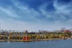 金秋游开封 赏菊汴梁城——开封旅游线路推荐图片