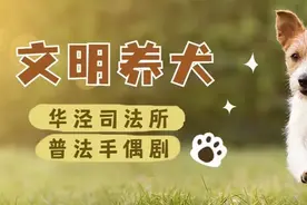 养宠“方便”不随便！来看普法手偶剧《文明养犬》图片