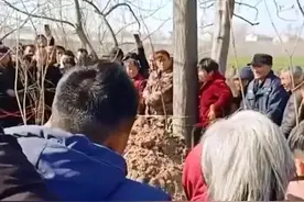 河南一条蛇坟头晒太阳引热议，早春蛇该冬眠，蛇出洞意味着什么？图片