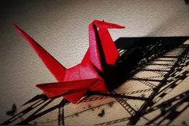 千纸鹤图解步骤分享给大家，感兴趣的朋友可以看看图片