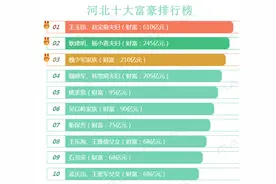 2019河北10大富豪排行榜图片
