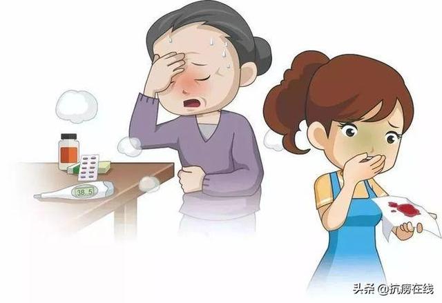 海马炖花胶对结核有用 2026年花胶海马炖汤