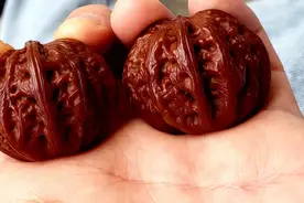 5年时间，几十对核桃，他盘出这套经验，核桃想不红都难图片