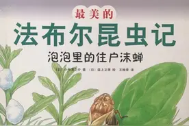 绘本推荐 | 最美的法布尔昆虫记《泡泡里的住户沫蝉》图片