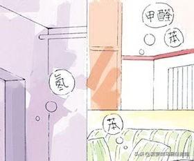 这样除甲醛，便宜又安全