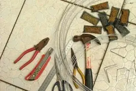 蛇木板种植石斛，从收割到再种植图片