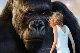 世界唯一读过大学的猩猩，曾对人类女性产生爱意，后被囚禁30年图片