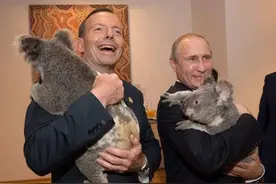 中国对澳大利亚出手，杀鸡儆猴来得好图片