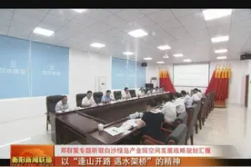 邓群策专题听取白沙绿岛产业园空间发展战略规划汇报图片