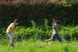 日本有个公园相当“危险”，家长却抢着把孩子送去玩图片