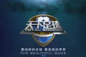 是时候挥手告别《天下足球》了图片
