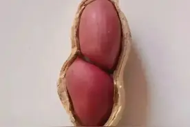 图解夫妻关系，真准图片