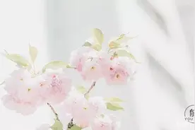 10句话，看清别人，读懂自己图片