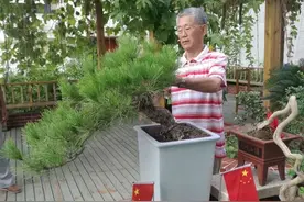 盆景之家，我爱盆景，我爱家图片