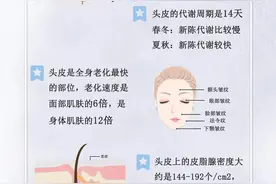干货｜你还不知道这些头皮冷知识？图片
