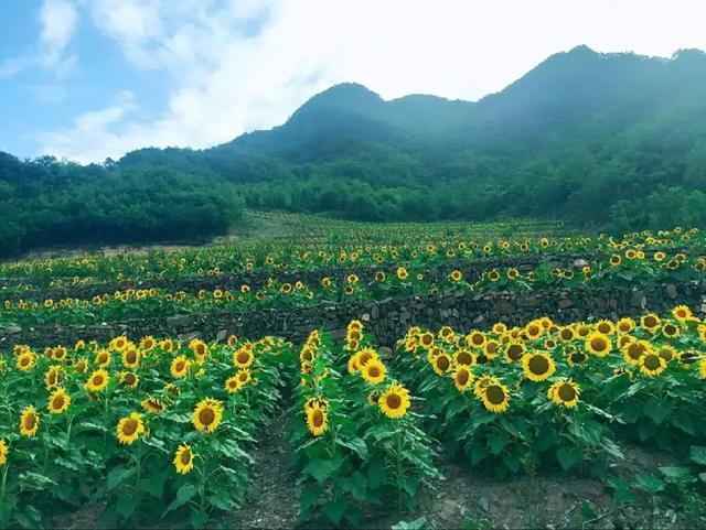 白河县地图 陕西省安康市白河县地图(图3) 白河县地图 陕西省安康市白河县地图(图3)