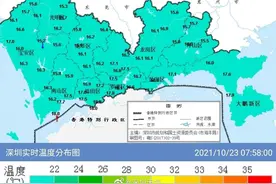 最低温破纪录！深圳气温“大跳水”！图片