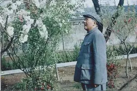 毛主席爱花 提倡“牡丹精神”图片