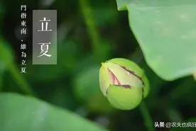 立夏到了，俗语“立夏蛇出洞”，为何进家的蛇不能打？答案来了图片