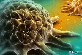 注意！石油渗透携带未知微生物，科学家：地下深处生命通道已打开图片